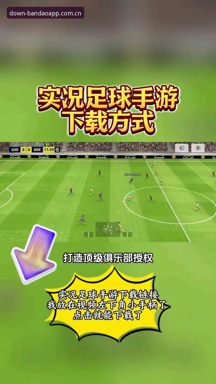 半岛app综合体育下载受阻 vs 正版获取渠道：老用户教你一招搞定下载难题